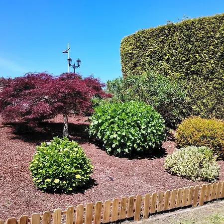 Vakantiehuis O Loureiro *